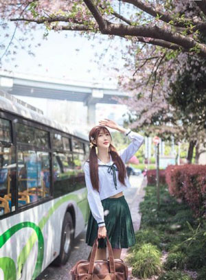 梅花儿香电视剧免费观看