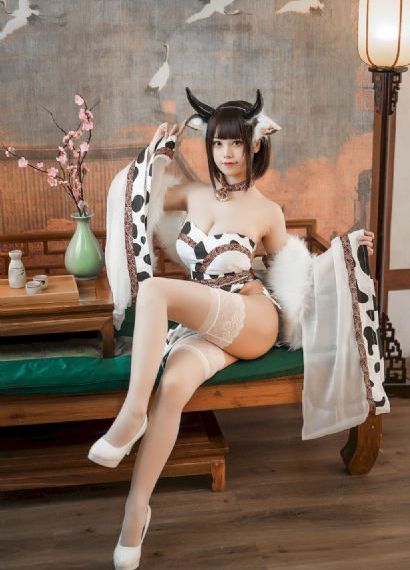 情满四合院免费观看全集电视剧