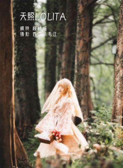 偷偷藏不住25集免费看