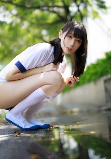 百日的蔷薇