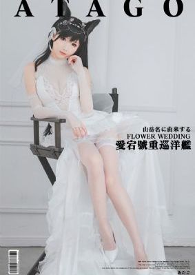 银翼的魔术师免费观看国语版