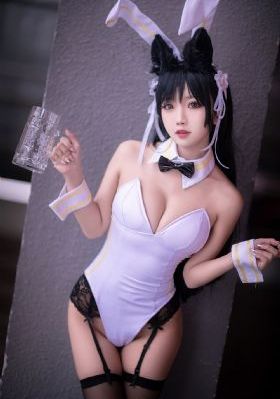 仙踪林电视剧在线观看完整